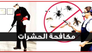 شركة مكافحة حشرات بالمزاحمية.