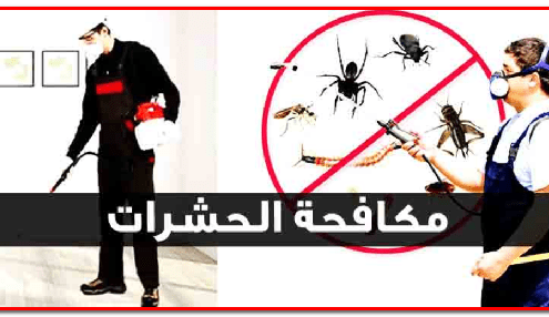 شركة مكافحة حشرات بالمزاحمية