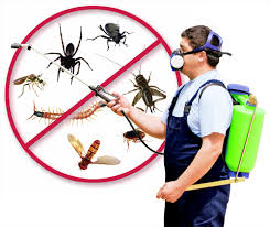 رش مبيدات و مكافحة حشرات