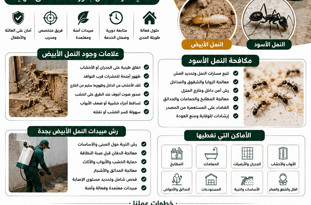 شركة مكافحة النمل الأبيض والأسود بجدة لحماية المنازل والمنشآت